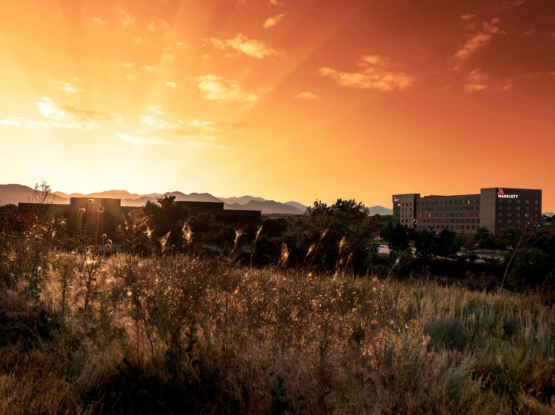 Denver Marriott Westminster