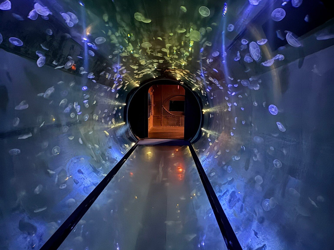 Aquarium La Rochelle-拉罗谢尔必去景点