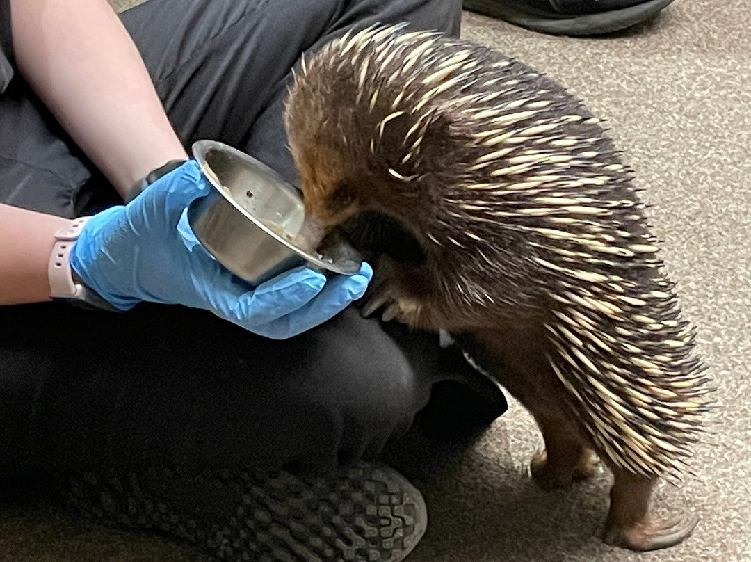 Platypus House-Beauty Point必去景点