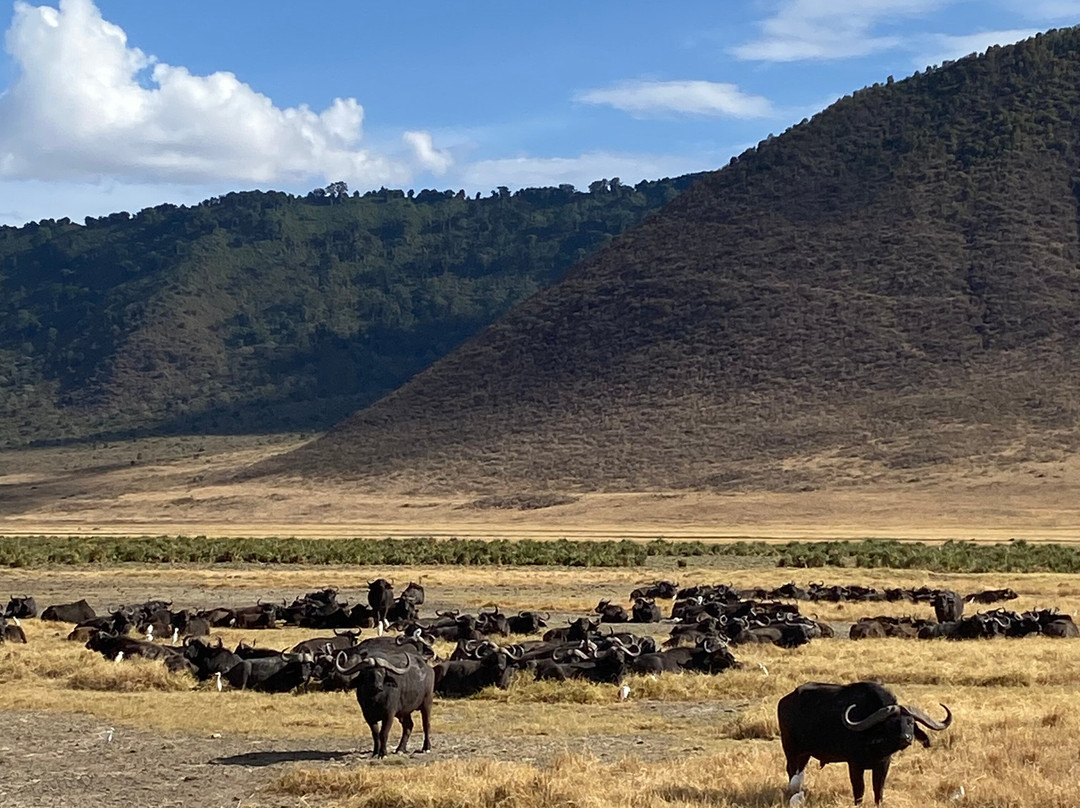 Zara Tanzania Adventures-莫西必去景点