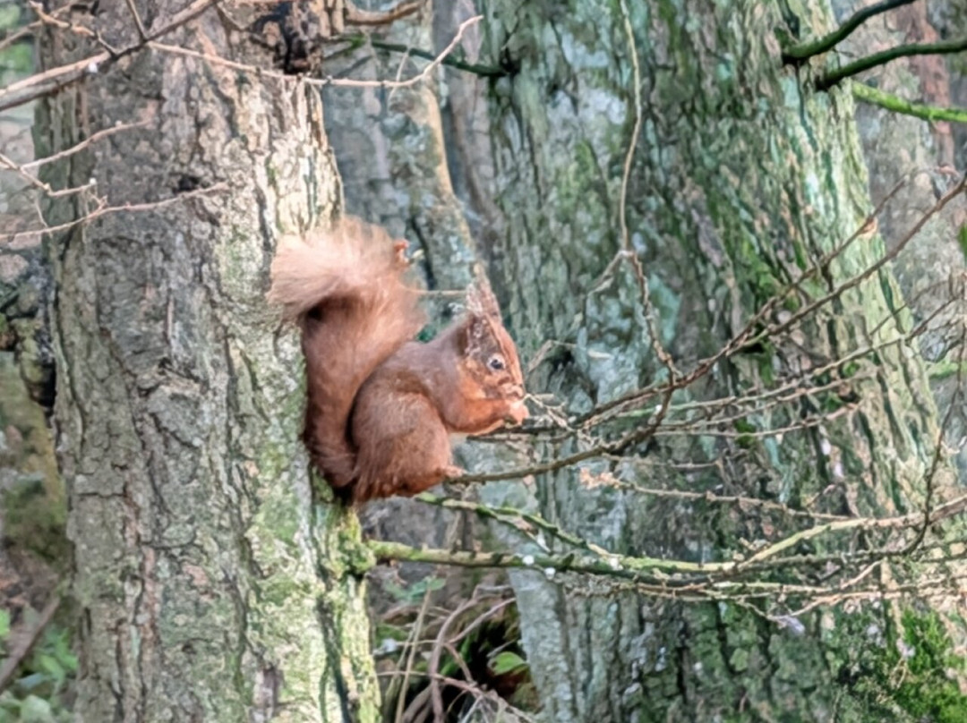Nature Nuts-Blairgowrie必去景点