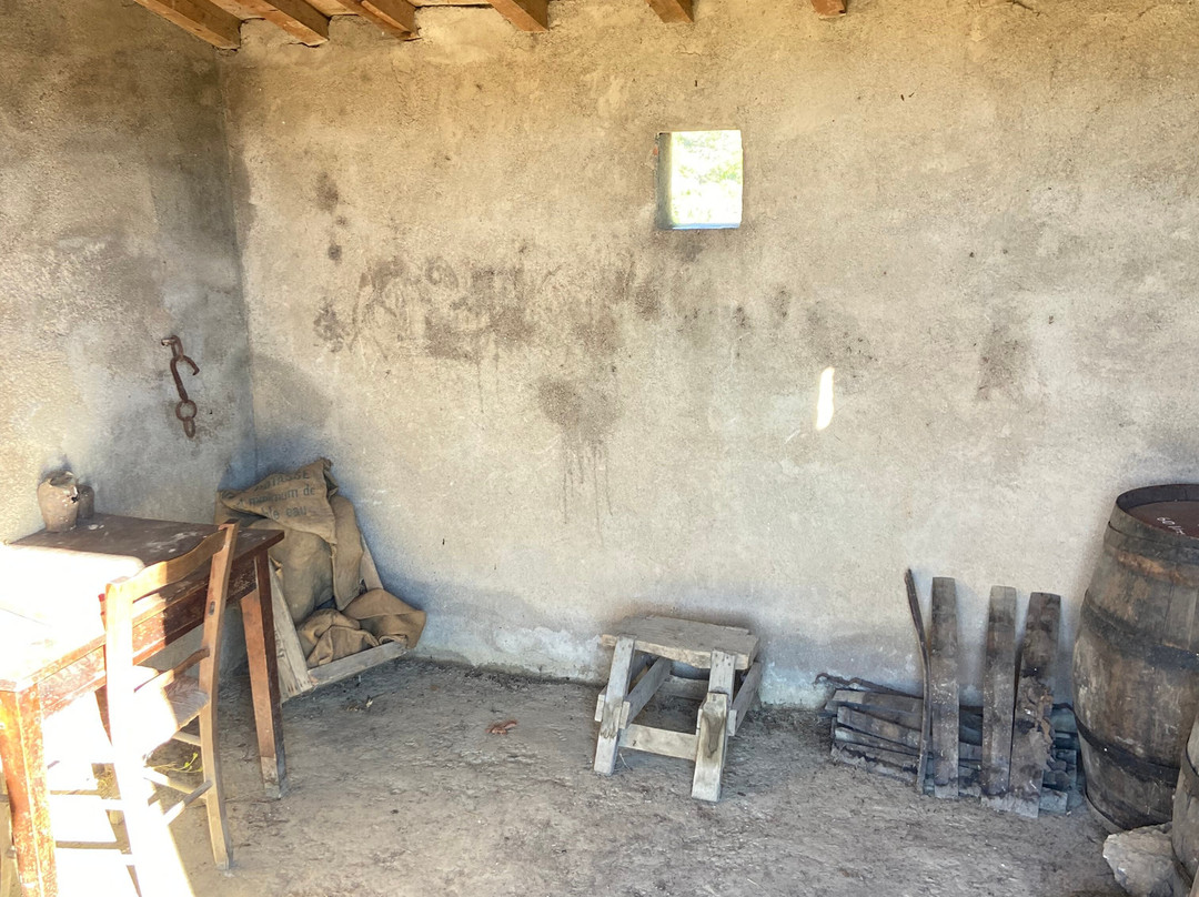 Vino Enigma-Saint-Paul-de-Fenouillet必去景点