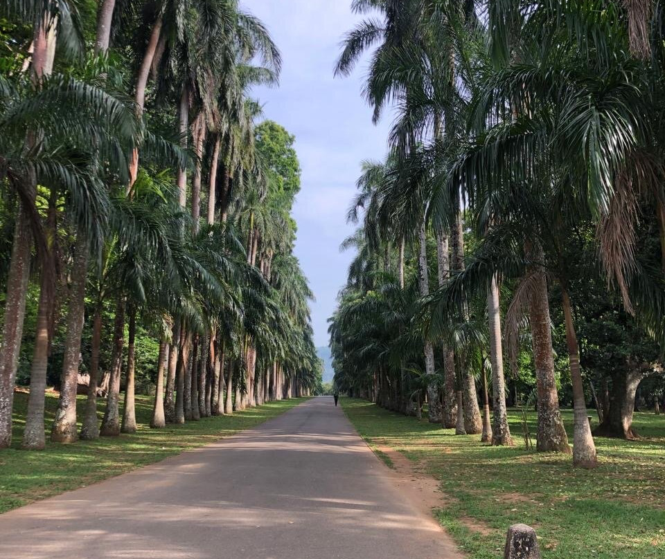 Meth Travels-Ja Ela必去景点