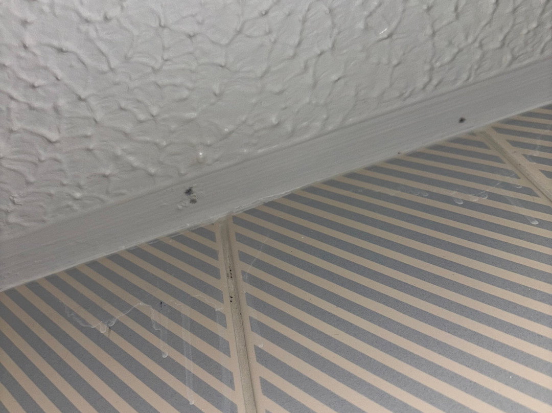 Travelodge Burton A38 Southbound主图