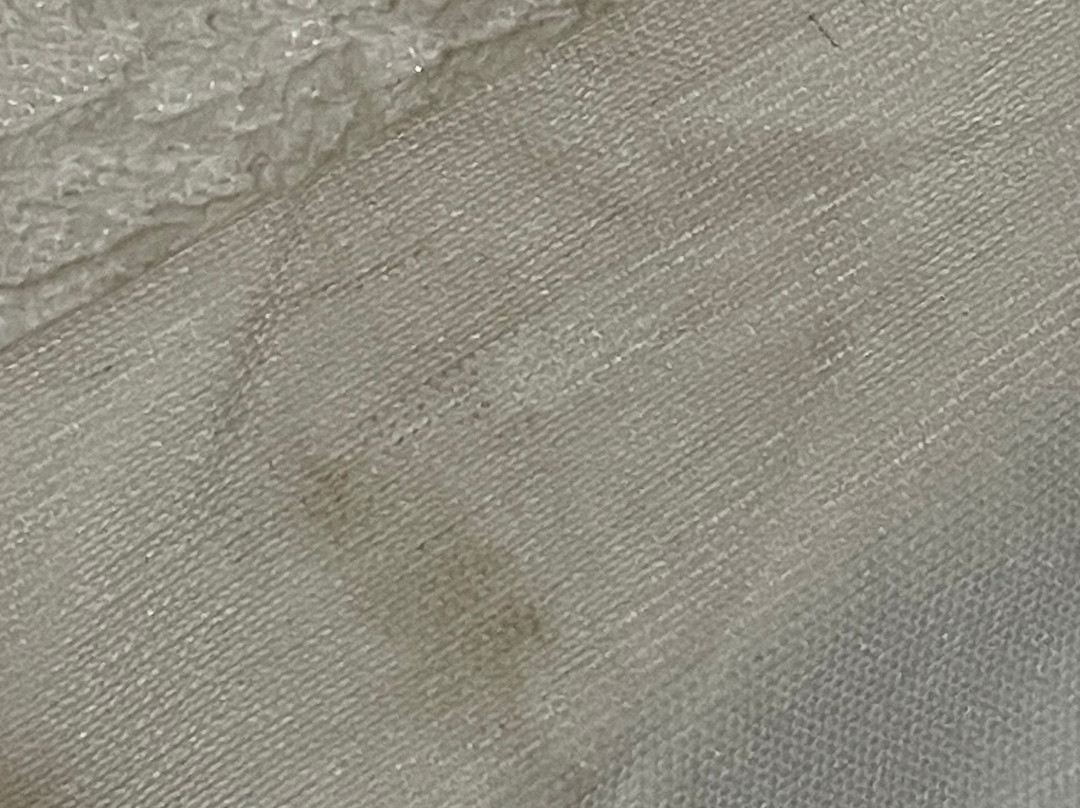 Green Bird Inn主图