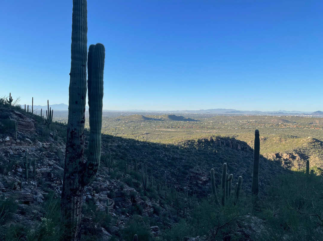 Southwest Discoveries-图森必去景点