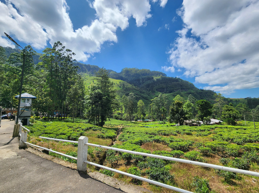 TS ruban travel router-Nanu Oya必去景点