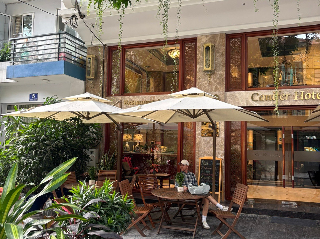 针叶树精品酒店主图