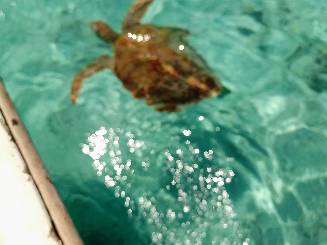 Villa La Colombe主图