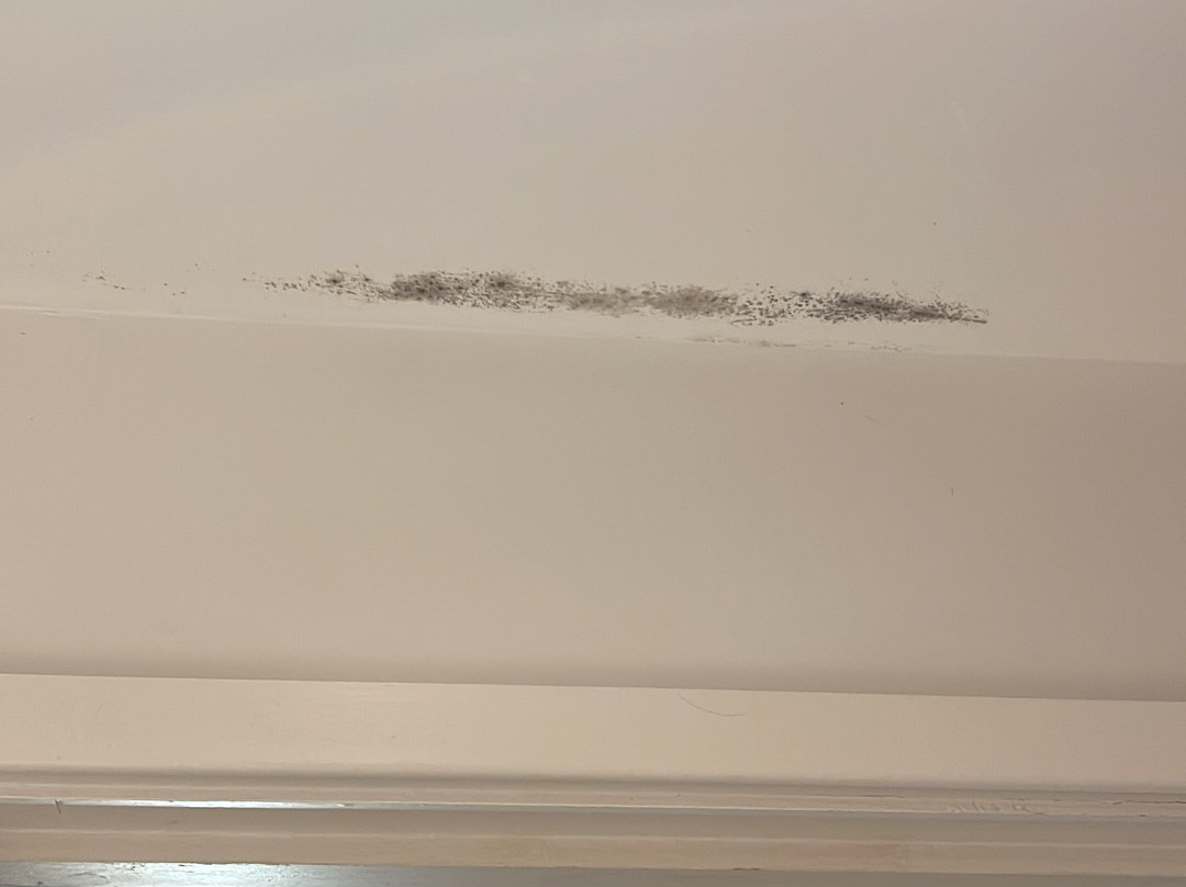 普瑞米尔哈洛酒店主图