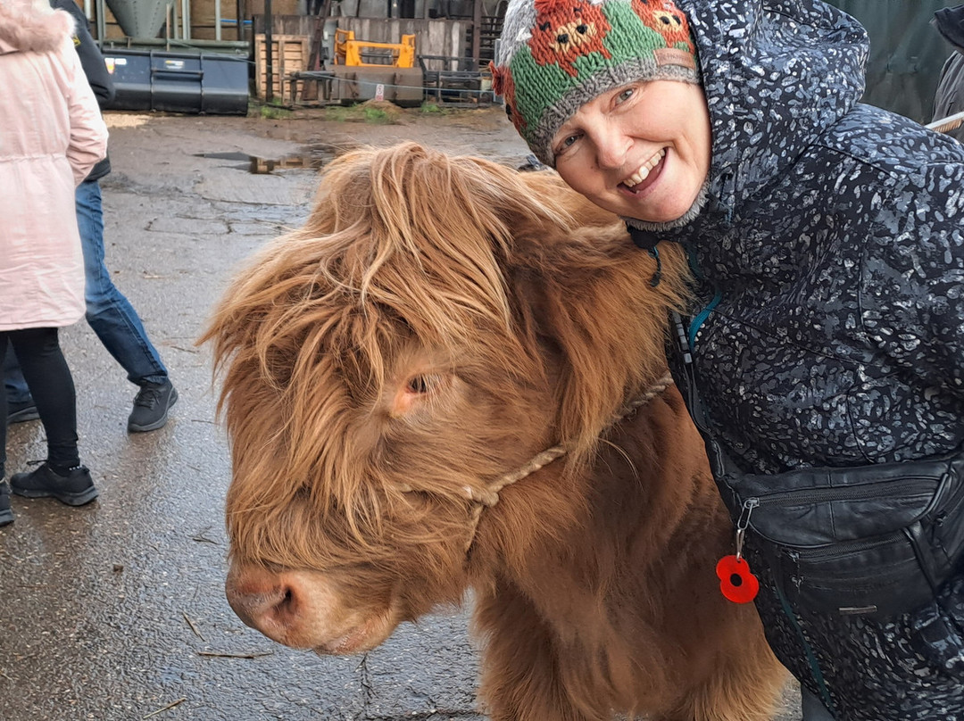 Dumble Farm-比弗利必去景点