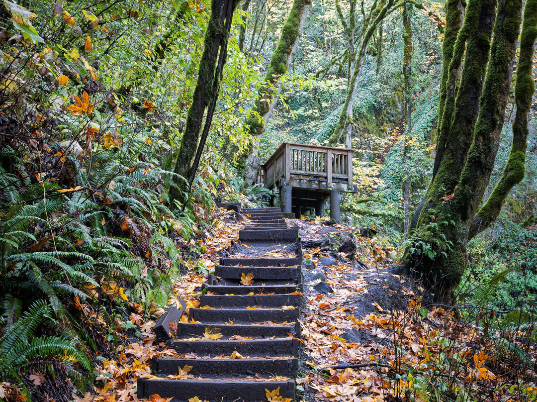 Bridal Veil Falls State Park-Corbett必去景点