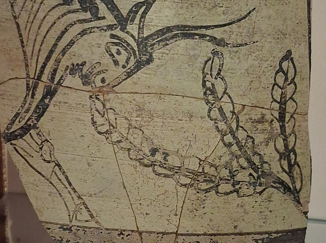 Museo Archeologico Di Palaipafos A Kouklia-库克利亚必去景点