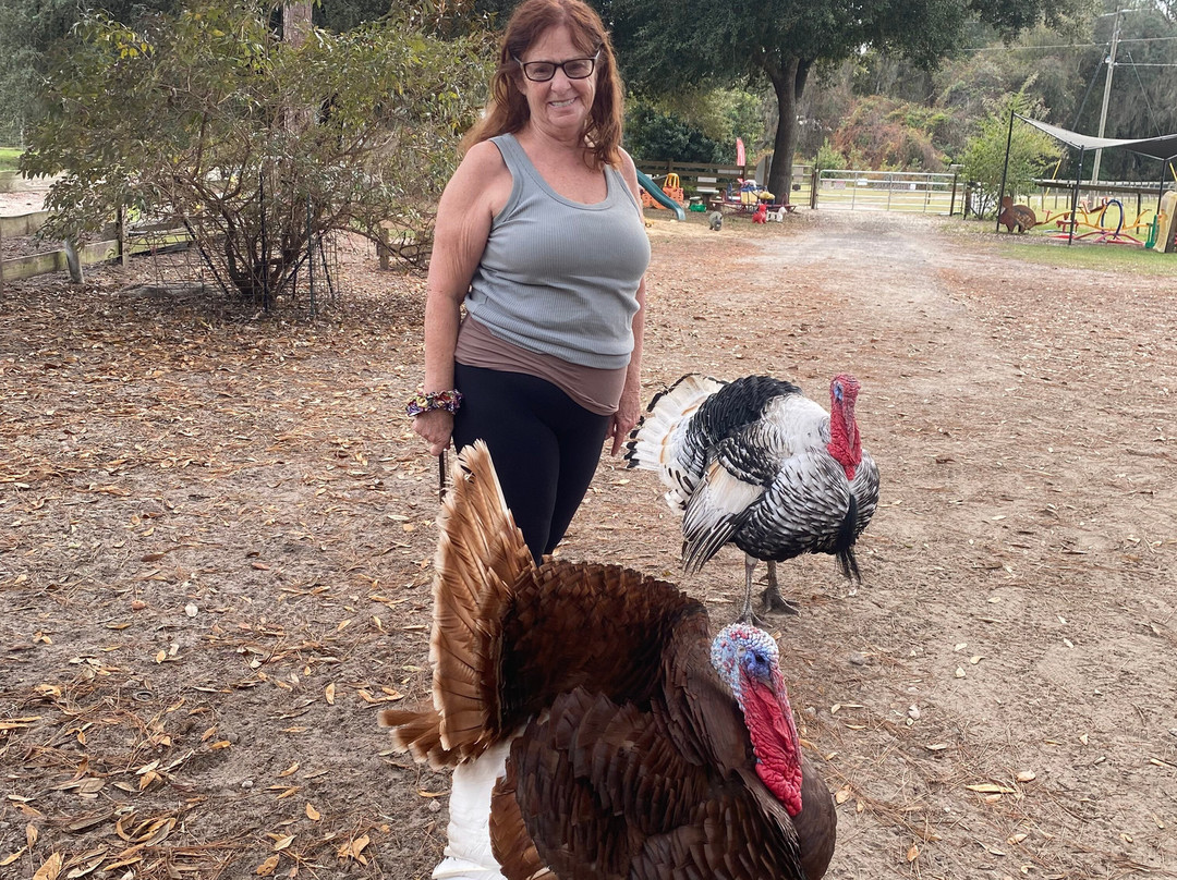 Rooterville Animal Sanctuary-Melrose必去景点