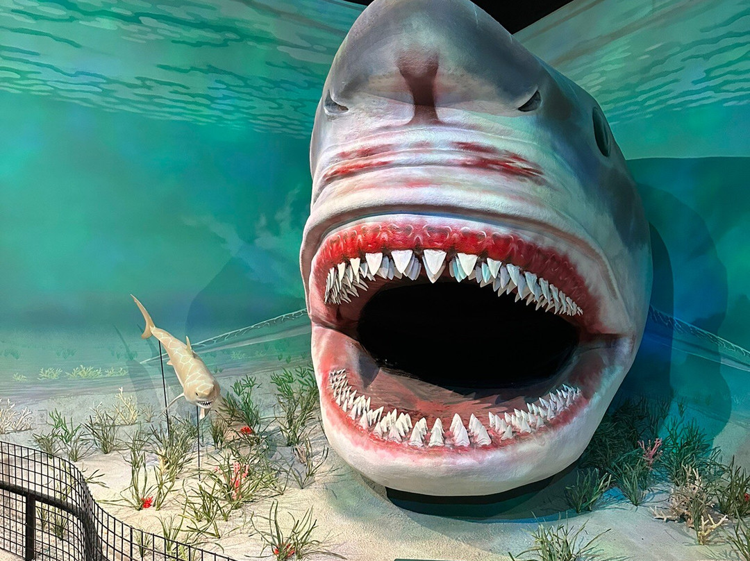 Mountain America Museum of Ancient Life-李海必去景点