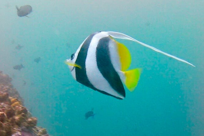 Amaya Tours-尼甘布必去景点