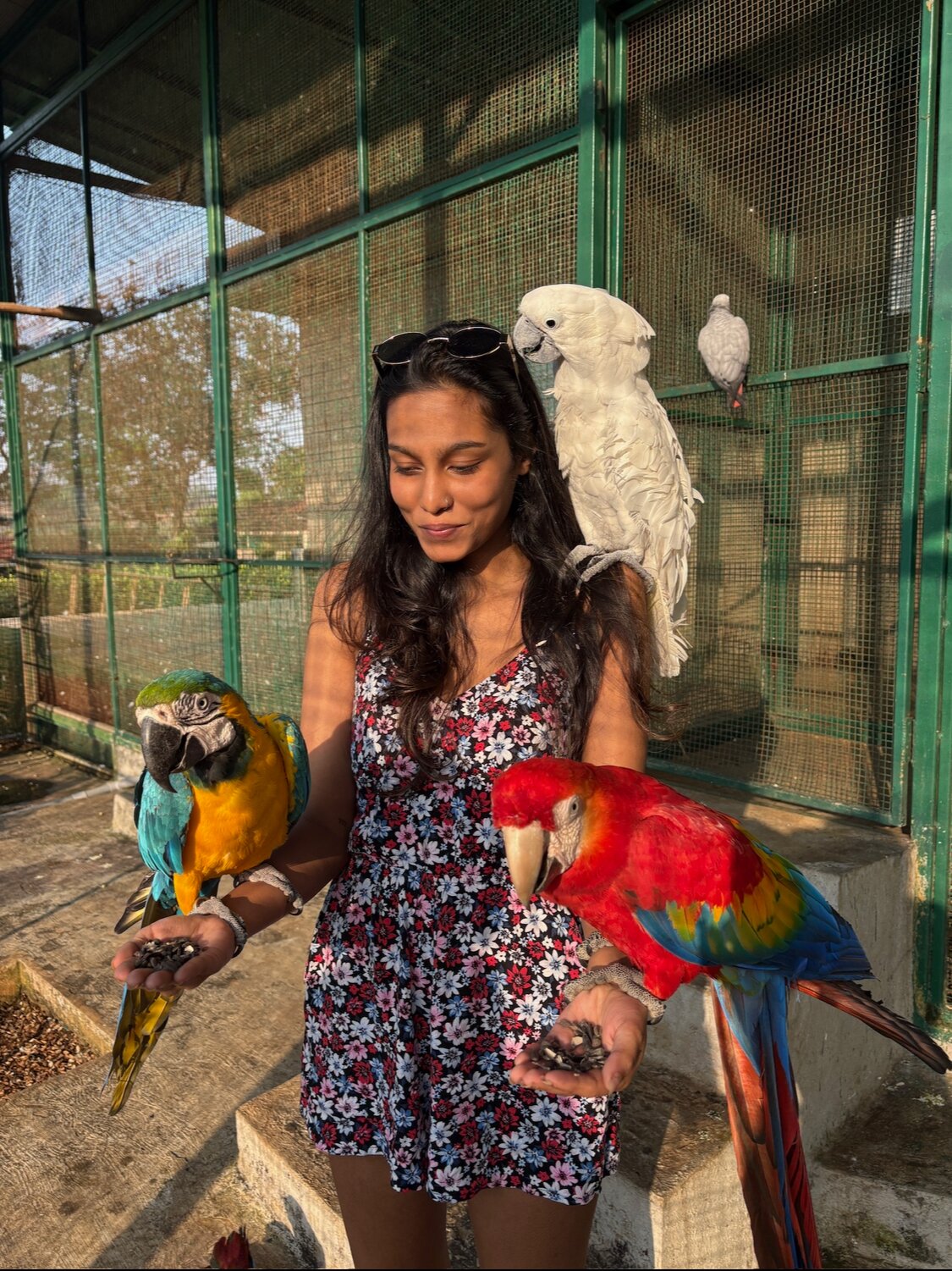 Manas Resort With Petting Zoo-官方