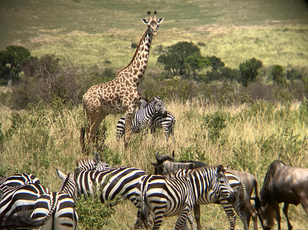 Access2Tanzania-阿鲁沙必去景点