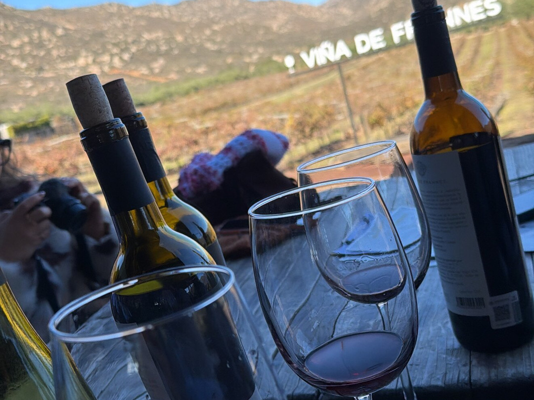 Vina de Frannes-Valle de Guadalupe必去景点