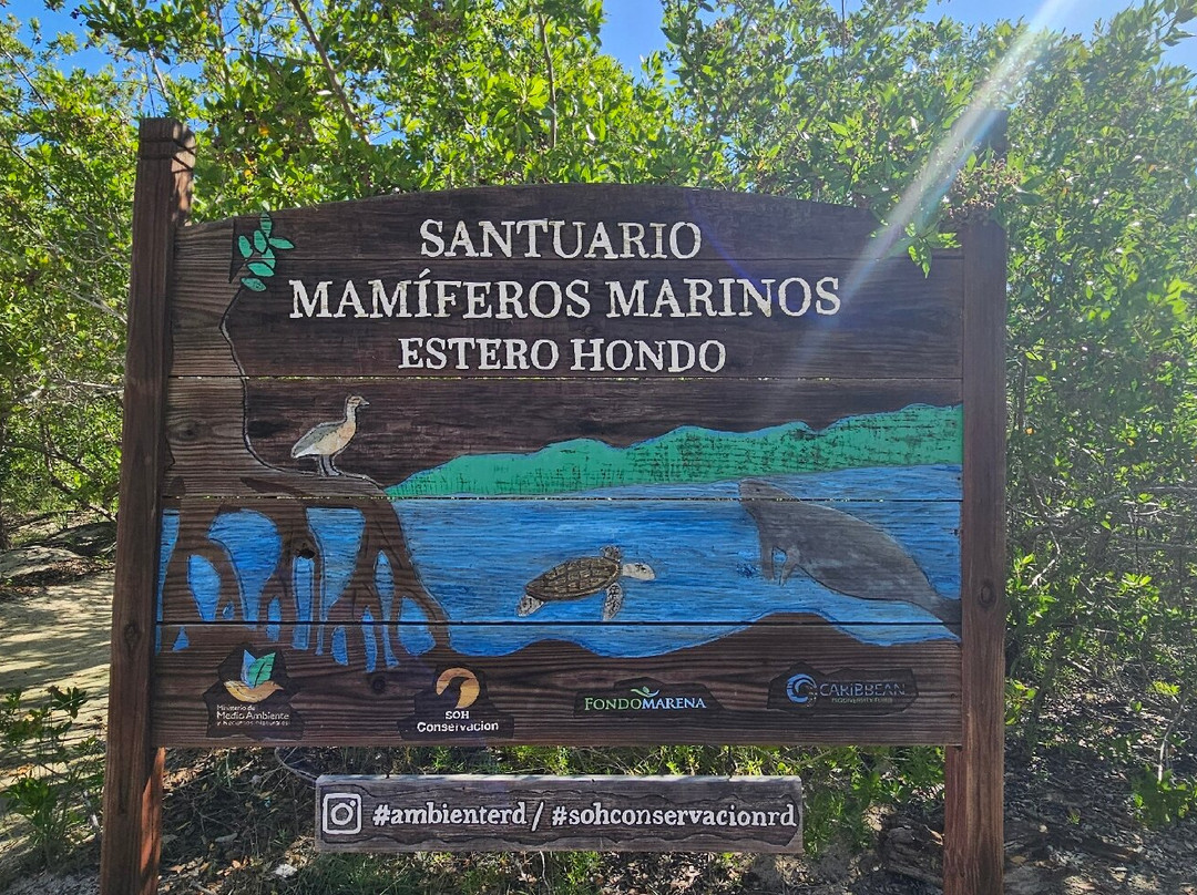 Santuario Mamíferos Marinos De Estero Hondo-Estero Hondo必去景点