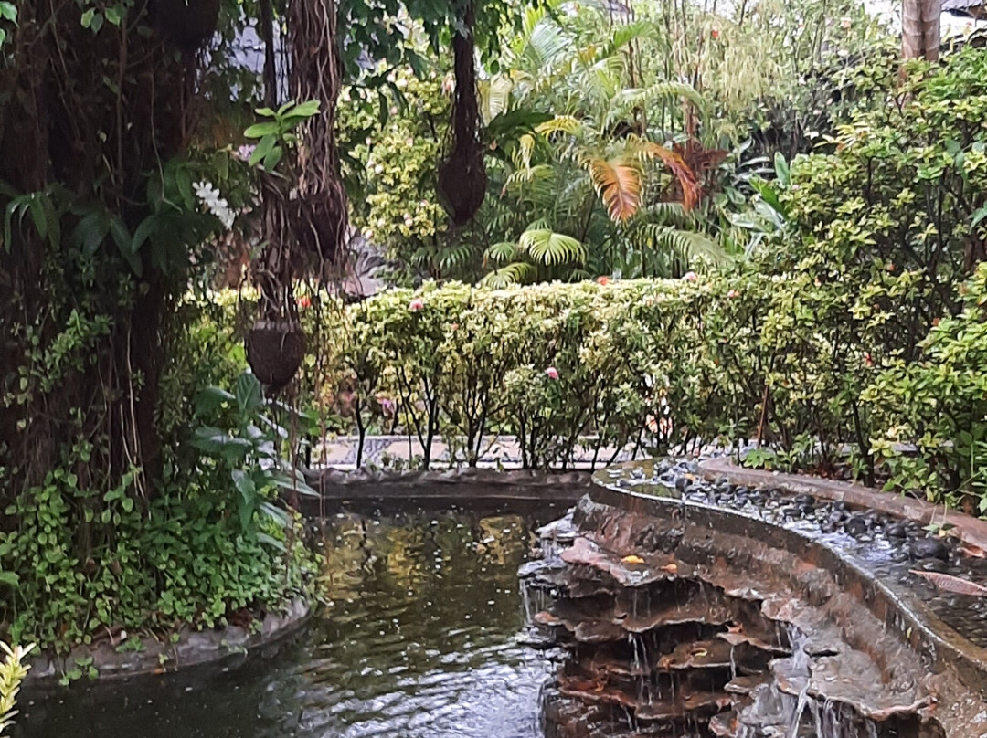 Araamu Spa-太阳岛必去景点