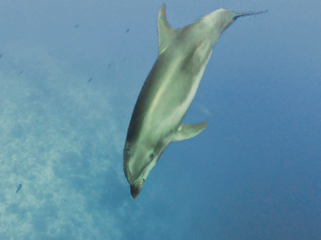 The Six Passengers-阿瓦托鲁必去景点