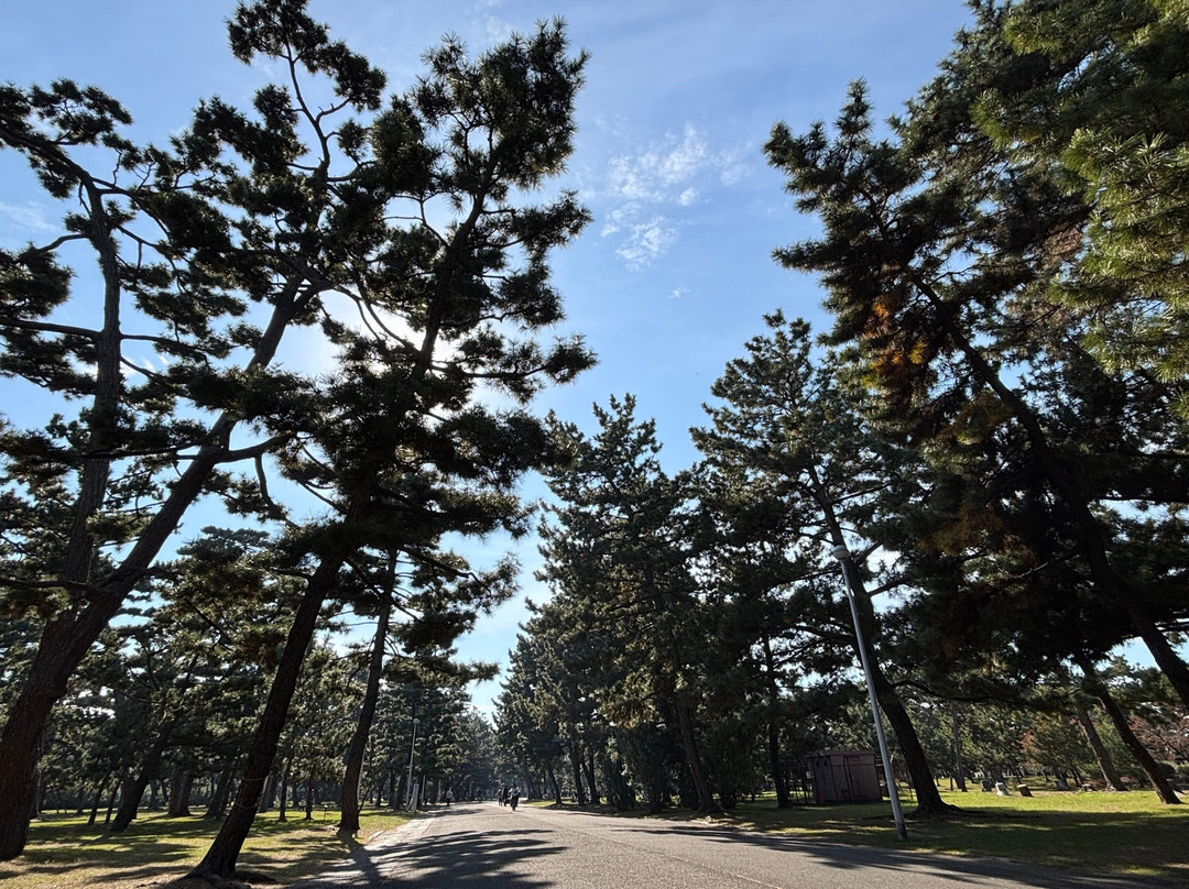 Hamadera Park-坂井市必去景点