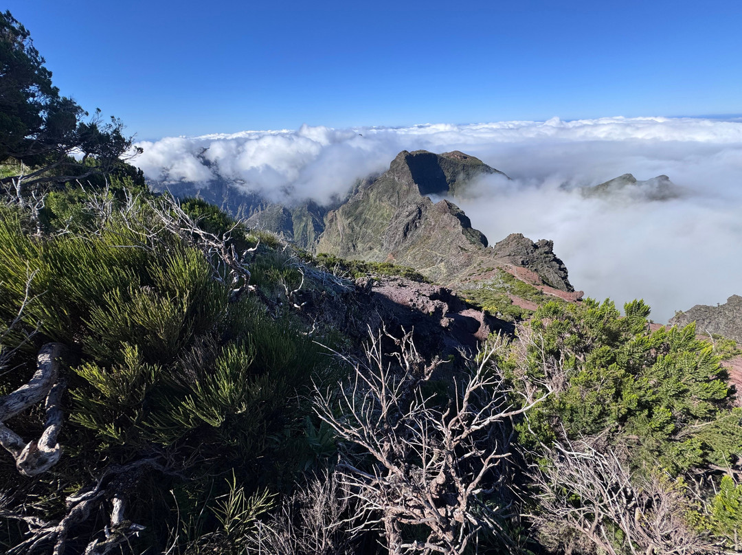 Pico Ruivo-马德拉群岛必去景点