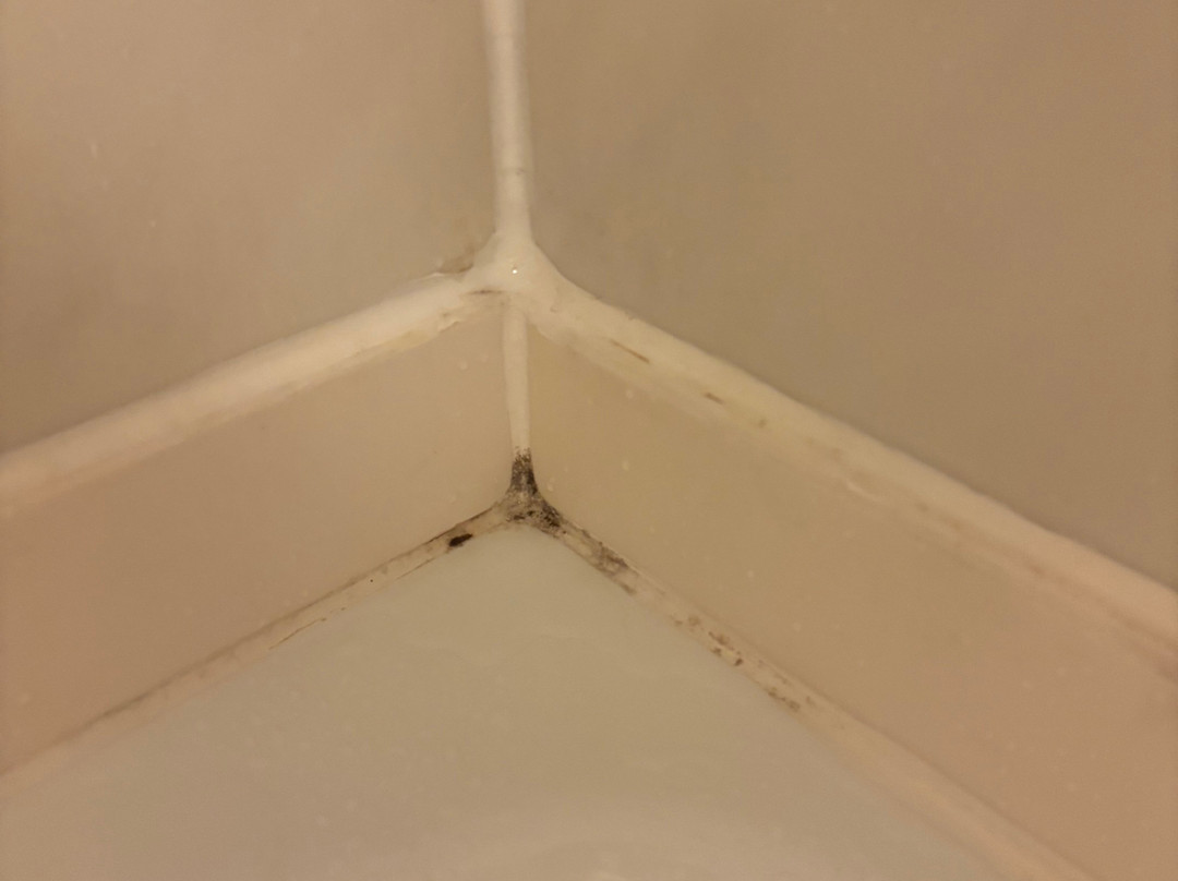 Econo Lodge Corinth主图