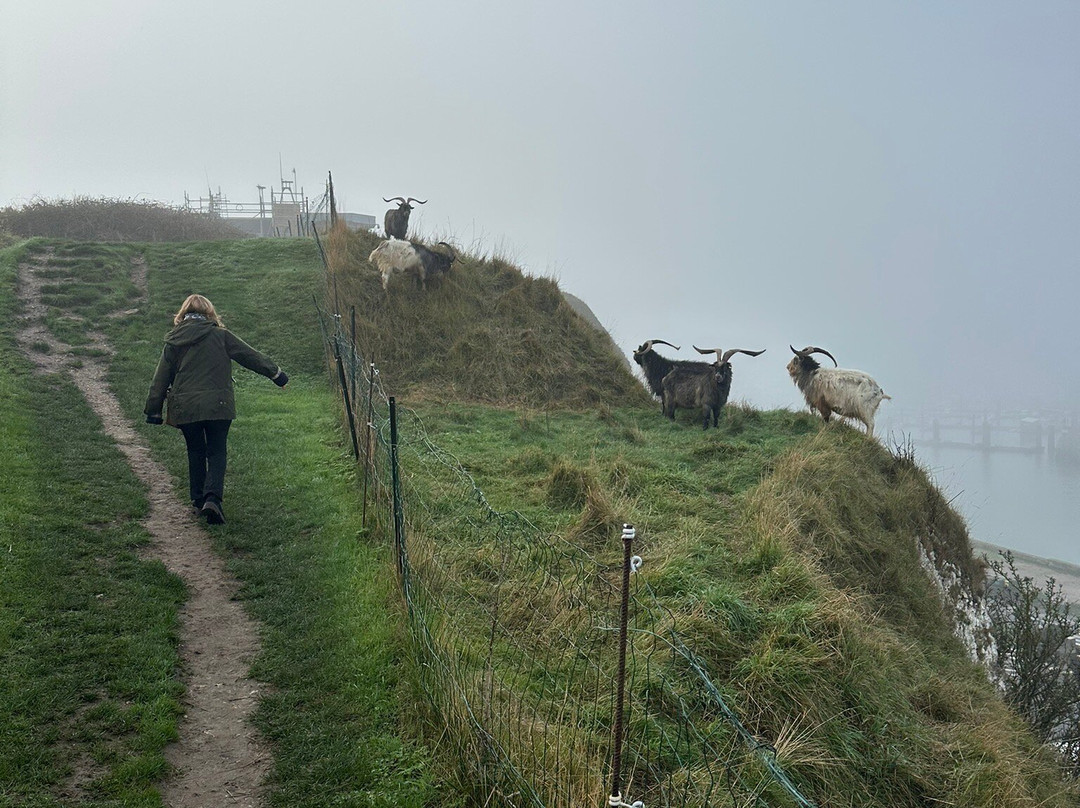Auberge du Vieux Puits主图
