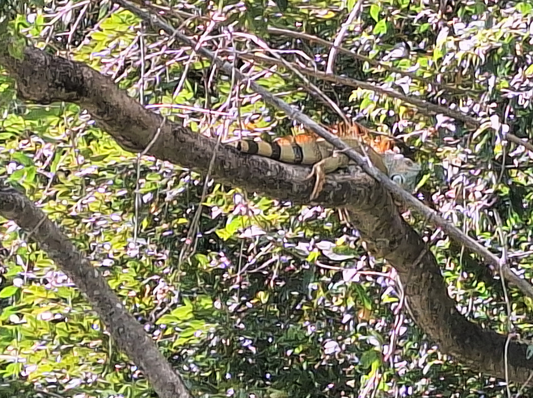 Sweet Costa Rica-塔马林多必去景点