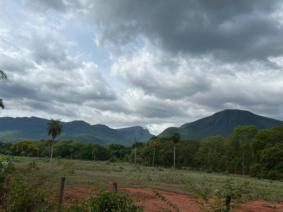 Estrada Parque do Pantanal-科龙巴必去景点