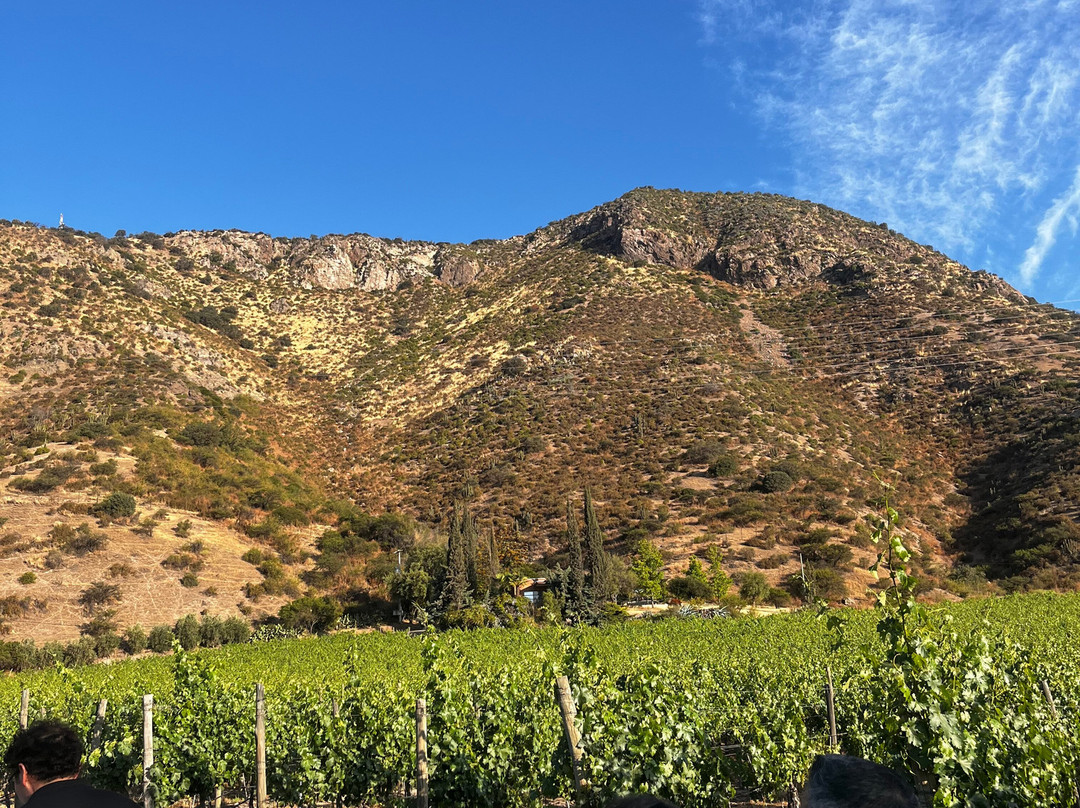 Besoain Wines-Pirque必去景点