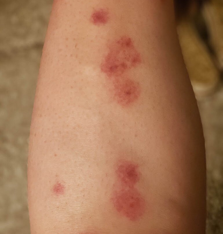 Residence Inn by Marriott Phoenix Gilbert主图