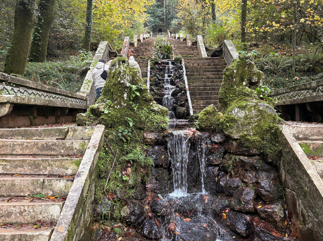 Mata Nacional do Bucaco-卢祖必去景点
