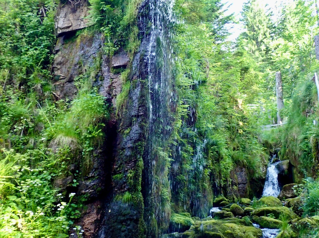 Menzenschwander Wasserfälle-Sankt Blasien必去景点