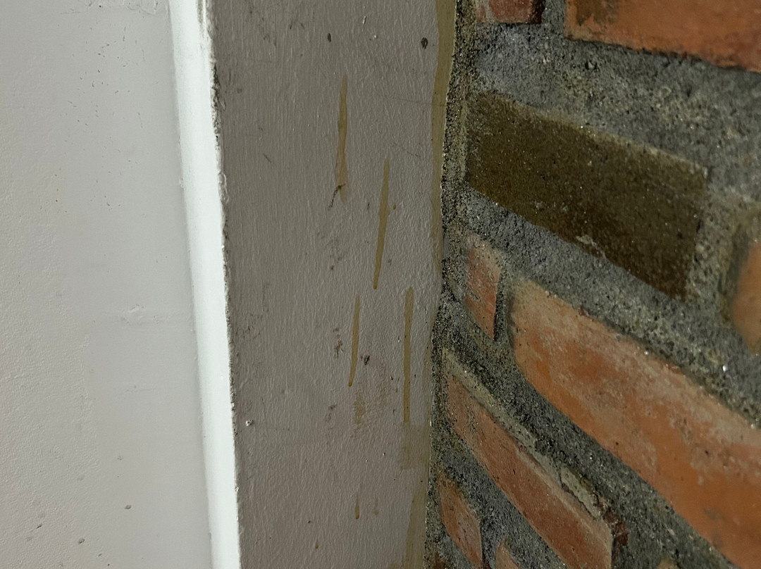 Villa Juana Hotel Campestre主图