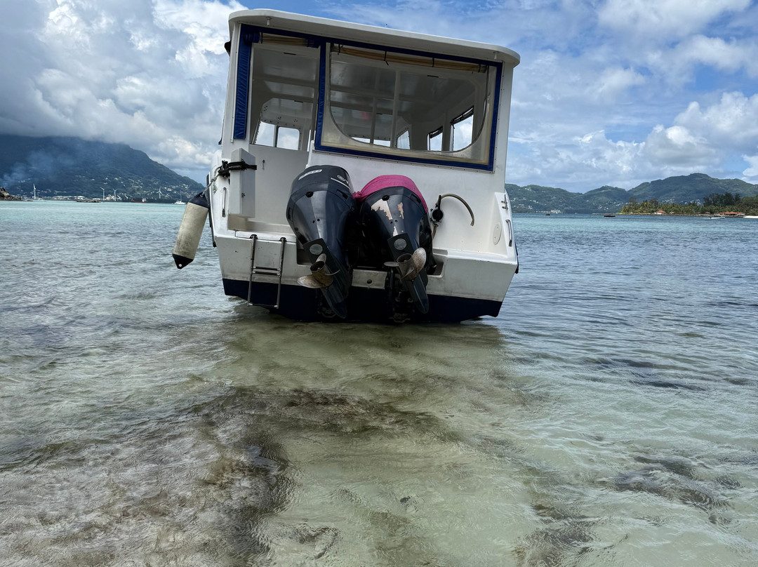 All day charter-伊甸岛必去景点