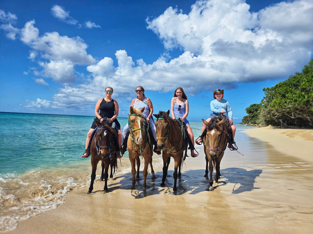 Cruzan Cowgirls-Frederiksted必去景点