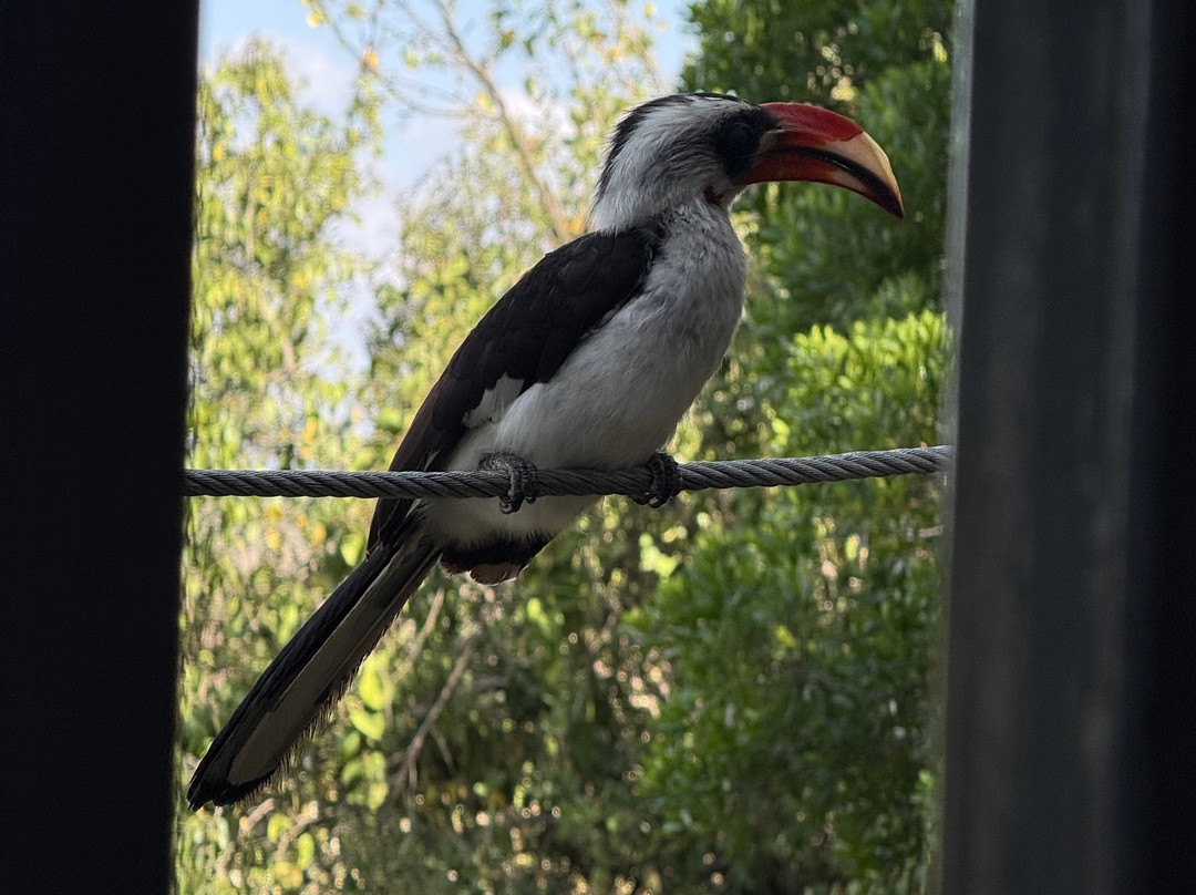 Rhythms of Nature-内罗毕必去景点