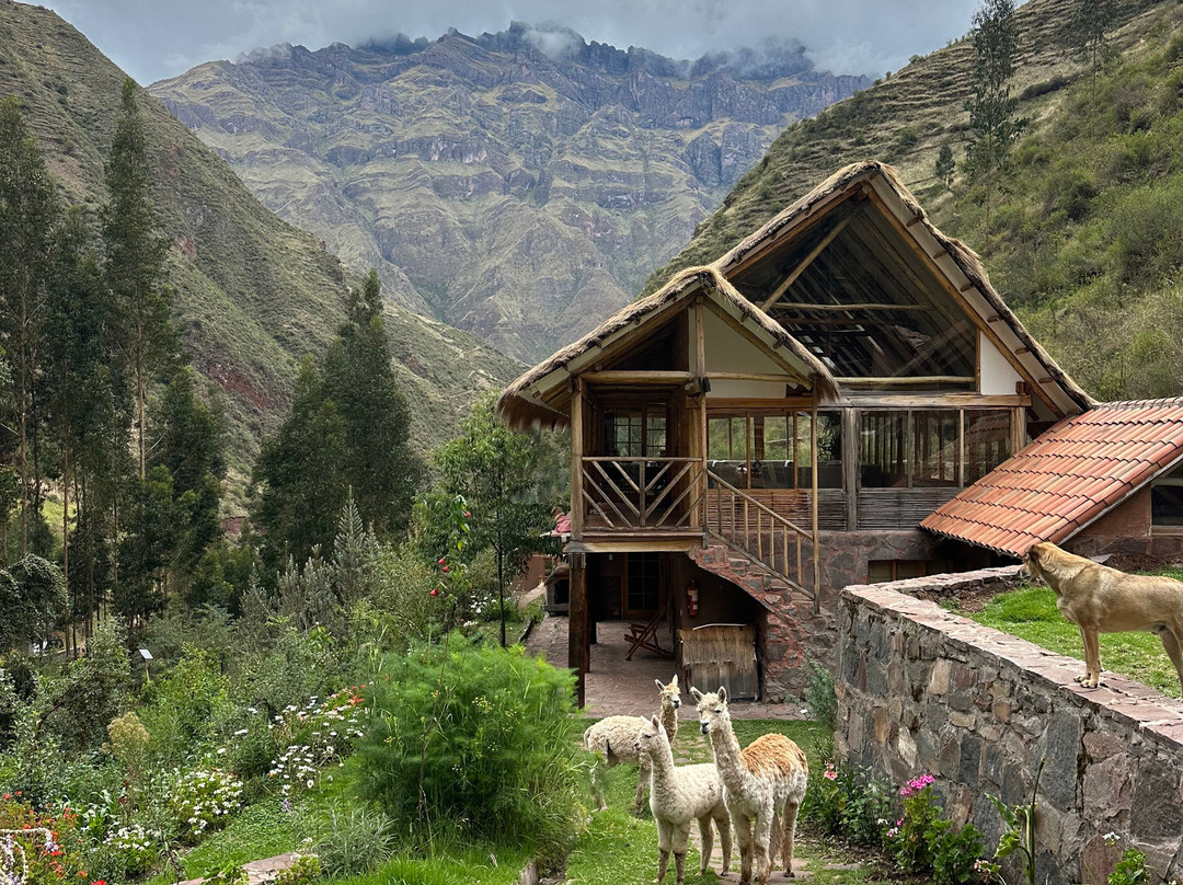 Etnikas Ayahuasca Retreats-库斯科必去景点