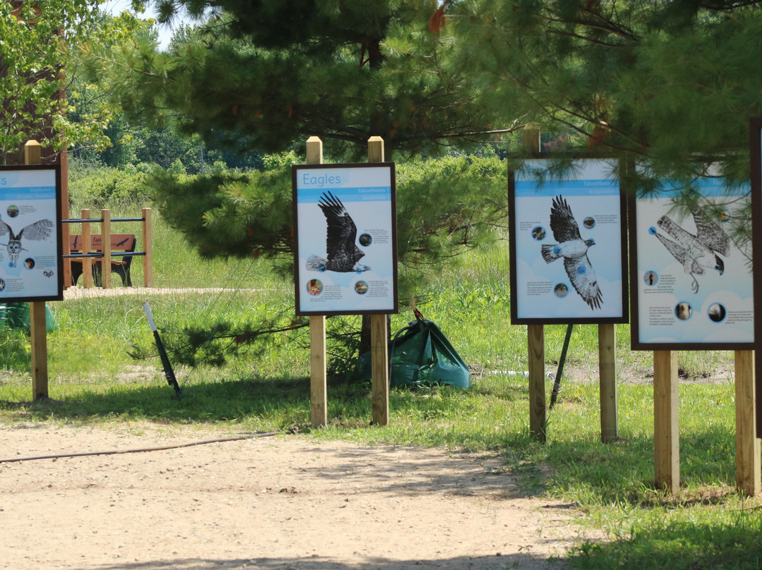 Outdoor Discovery Center-荷兰村必去景点