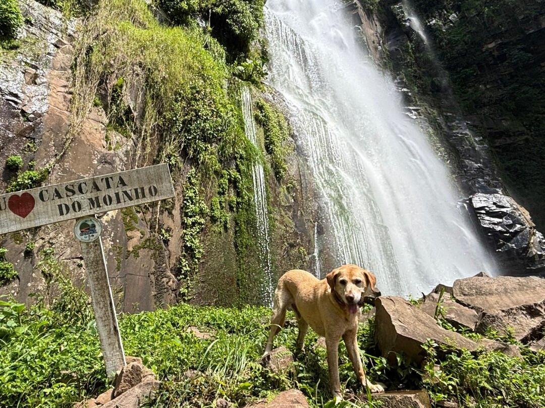 Cascata do Moinho-Progresso必去景点