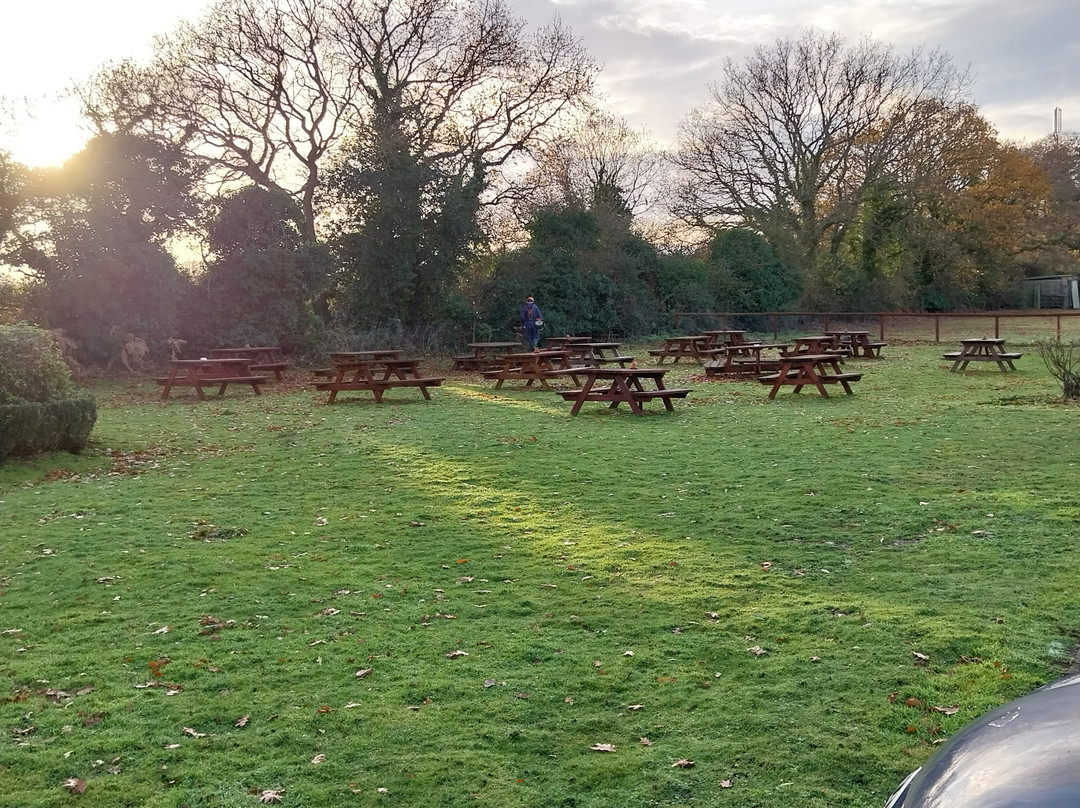 The Five Bells主图