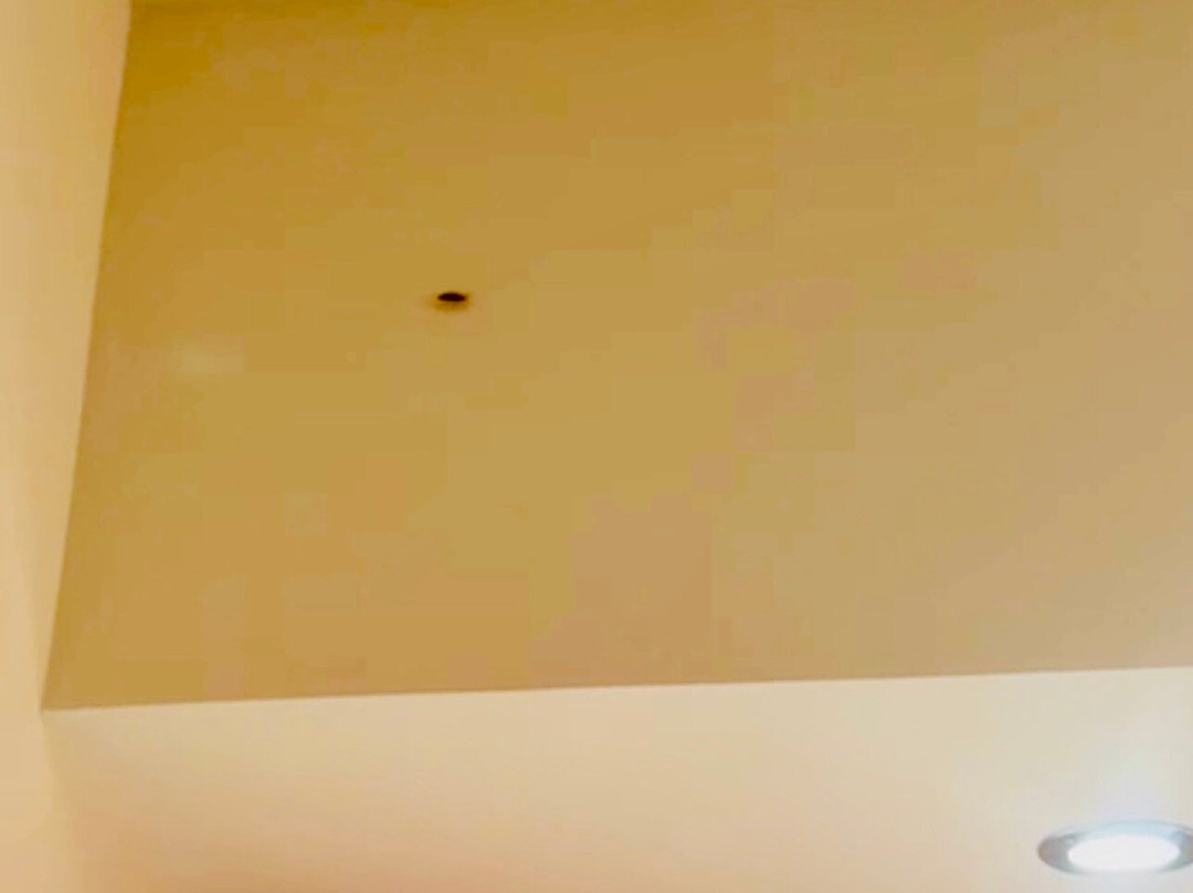 瓦勒欧洲公寓酒店主图