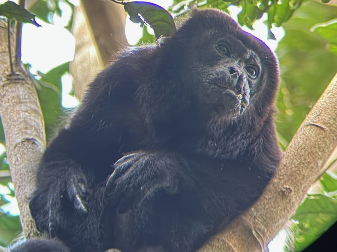 0S3 Private Tours-哈科必去景点