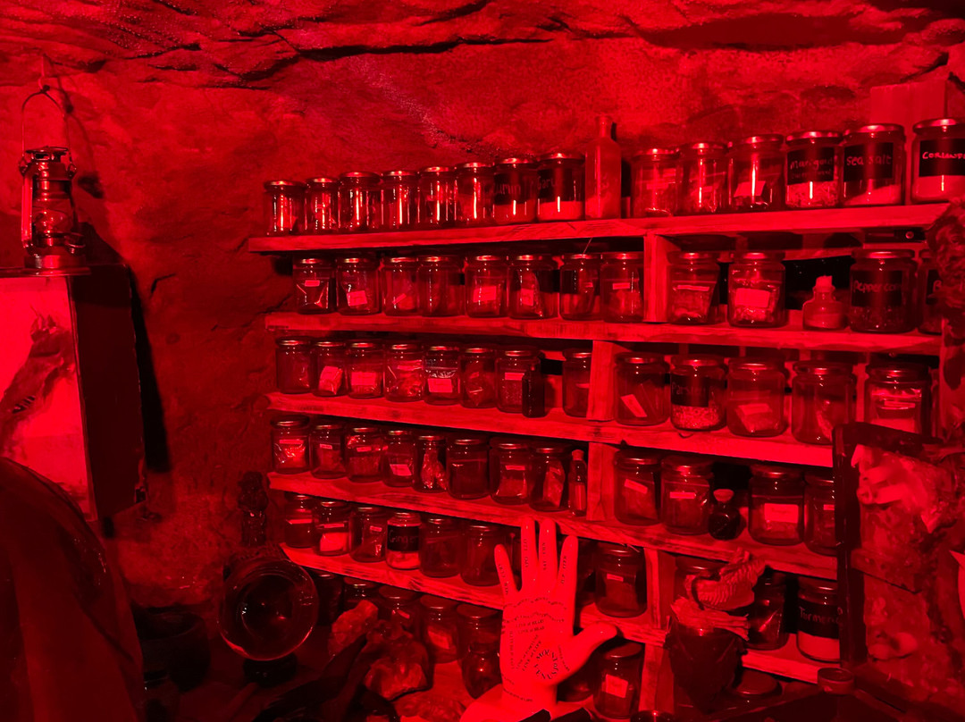 The Museum Of Curiosities-诺丁汉必去景点