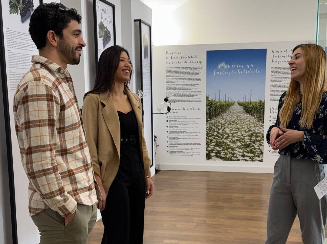 Follow Me - Portugal Tours-辛特拉必去景点