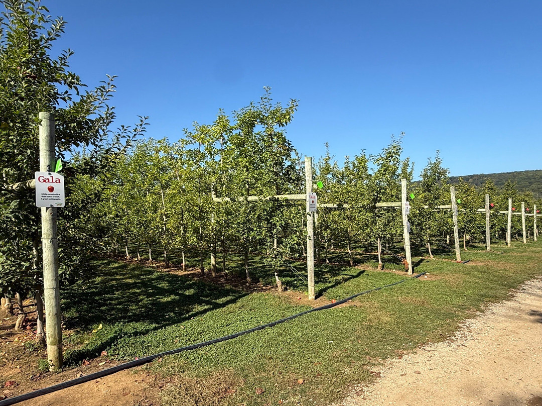 Ort Farms-Long Valley必去景点