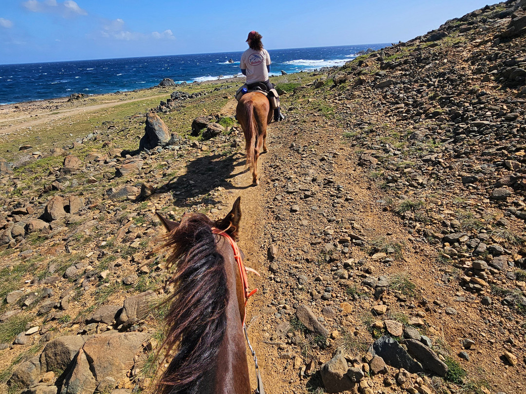 Rancho Loco-Santa Cruz必去景点